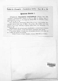 Image Associated With the Occurence